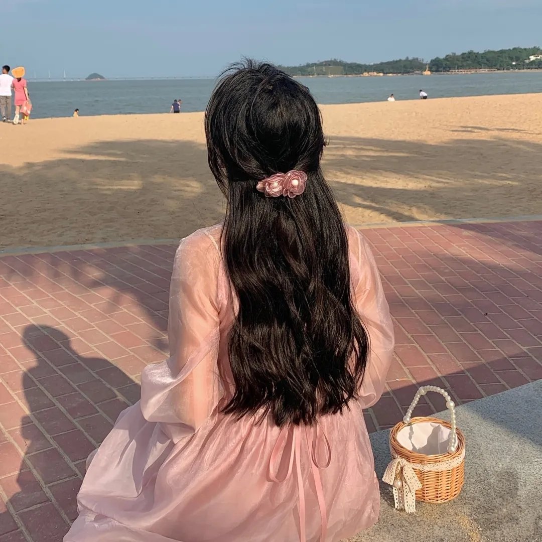 101朵玫瑰